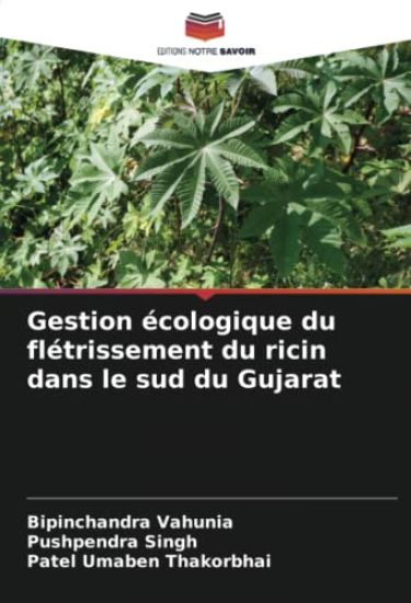 Gestion écologique du flétrissement du ricin dans le sud du Gujarat