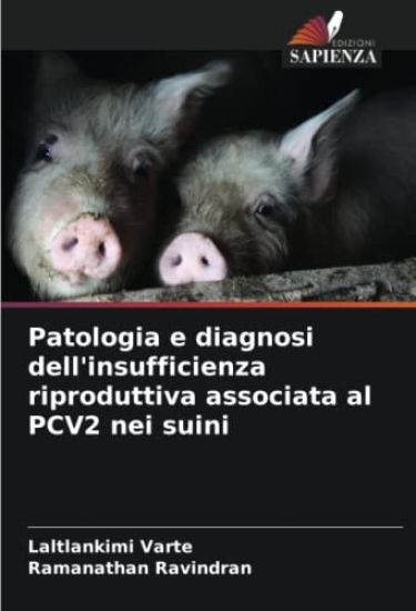 Patologia e diagnosi dell'insufficienza riproduttiva associata al PCV2 nei suini