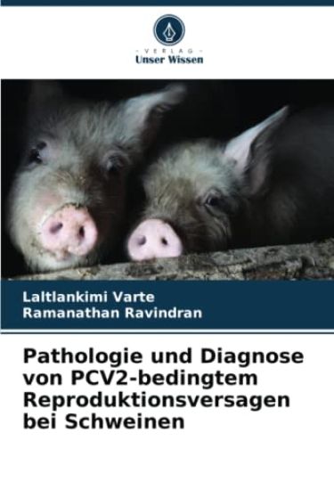 Pathologie und Diagnose von PCV2-bedingtem Reproduktionsversagen bei Schweinen