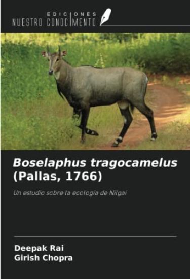 Boselaphus tragocamelus (Pallas, 1766)