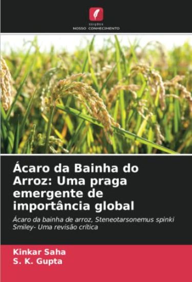 Ácaro da Bainha do Arroz: Uma praga emergente de importância global
