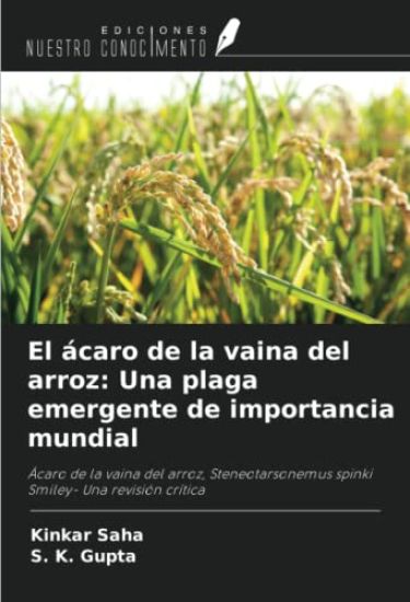 El ácaro de la vaina del arroz: Una plaga emergente de importancia mundial
