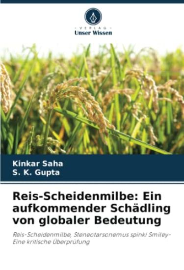 Reis-Scheidenmilbe: Ein aufkommender Schädling von globaler Bedeutung