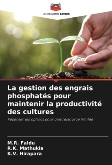 La gestion des engrais phosphatés pour maintenir la productivité des cultures