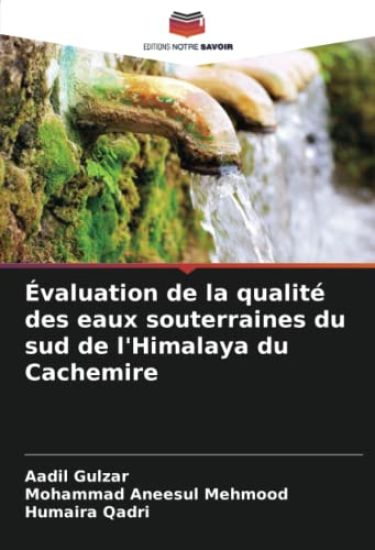 Évaluation de la qualité des eaux souterraines du sud de l'Himalaya du Cachemire