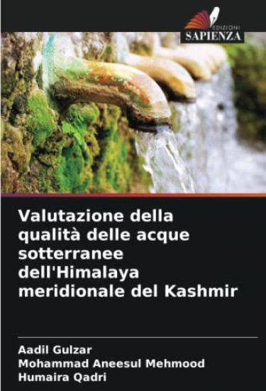 Valutazione della qualità delle acque sotterranee dell'Himalaya meridionale del Kashmir