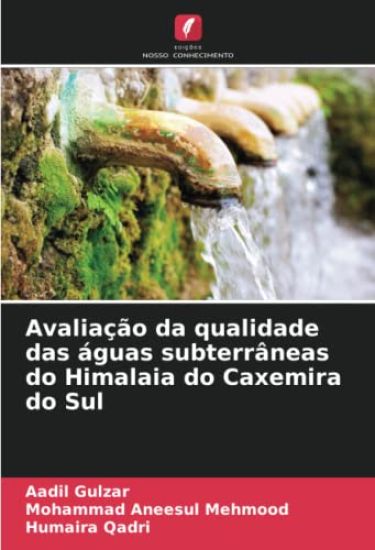 Avaliação da qualidade das águas subterrâneas do Himalaia do Caxemira do Sul