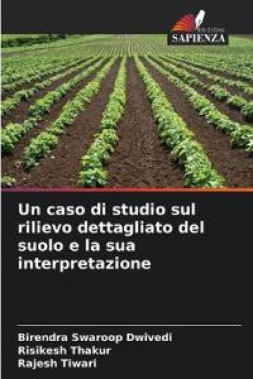 Un caso di studio sul rilievo dettagliato del suolo e la sua interpretazione