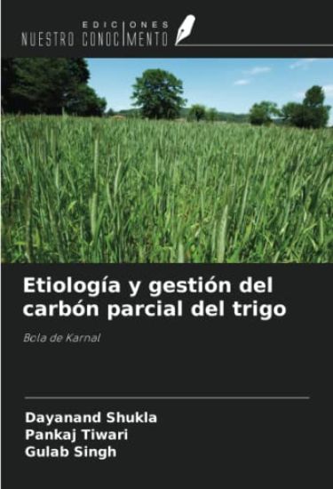 Etiología y gestión del carbón parcial del trigo