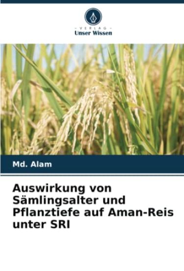 Auswirkung von Sämlingsalter und Pflanztiefe auf Aman-Reis unter SRI