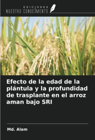 Efecto de la edad de la plántula y la profundidad de trasplante en el arroz aman bajo SRI
