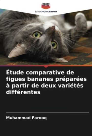 Étude comparative de figues bananes préparées à partir de deux variétés différentes