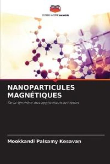 Nanoparticules Magnétiques