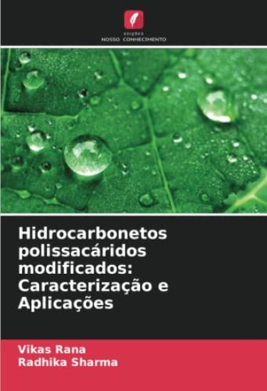 Hidrocarbonetos polissacáridos modificados
