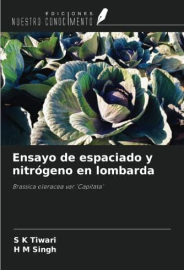 Ensayo de espaciado y nitrógeno en lombarda