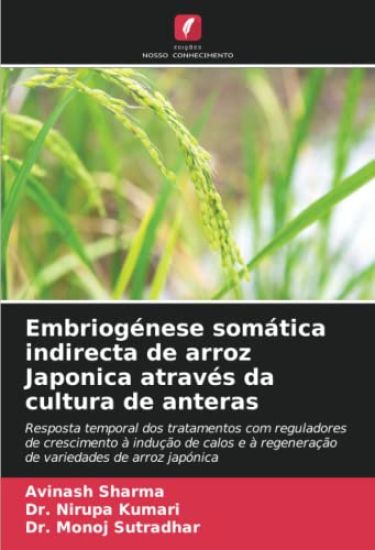 Embriogénese somática indirecta de arroz Japonica através da cultura de anteras