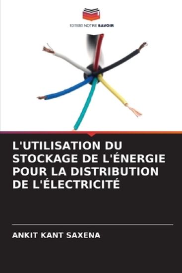 L'Utilisation Du Stockage de l'Énergie Pour La Distribution de l'Électricité
