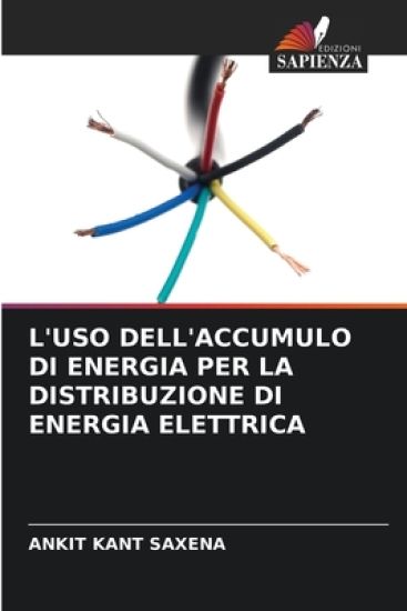 L'Uso Dell'accumulo Di Energia Per La Distribuzione Di Energia Elettrica