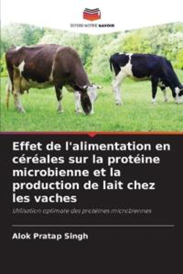Effet de l'alimentation en céréales sur la protéine microbienne et la production de lait chez les vaches