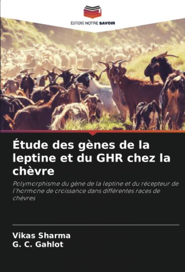 Étude des gènes de la leptine et du GHR chez la chèvre