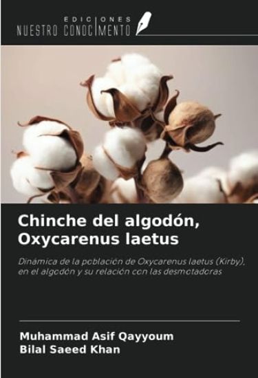 Chinche del algodón, Oxycarenus laetus