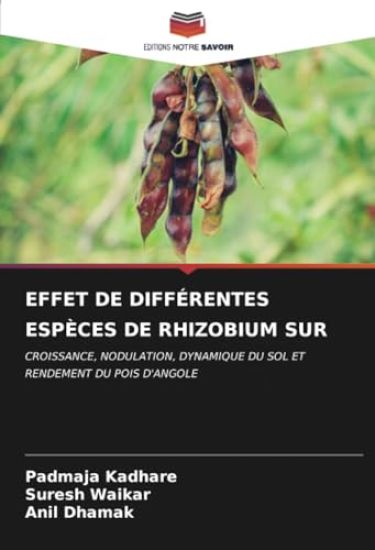 EFFET DE DIFFÉRENTES ESPÈCES DE RHIZOBIUM SUR