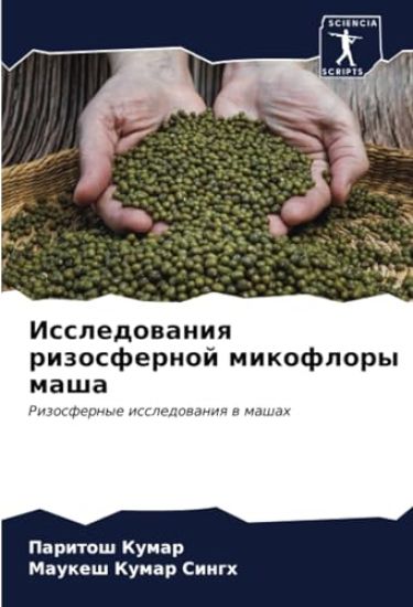 Issledowaniq rizosfernoj mikoflory masha