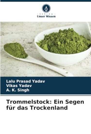 Trommelstock – Lalu Prasad Yadav, kirjan kansikuva