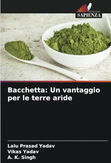 Bacchetta – Lalu Prasad Yadav, kirjan kansikuva
