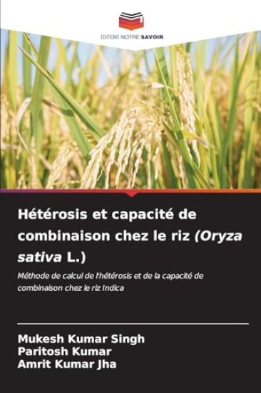 Hétérosis et capacité de combinaison chez le riz (Oryza sativa L.)
