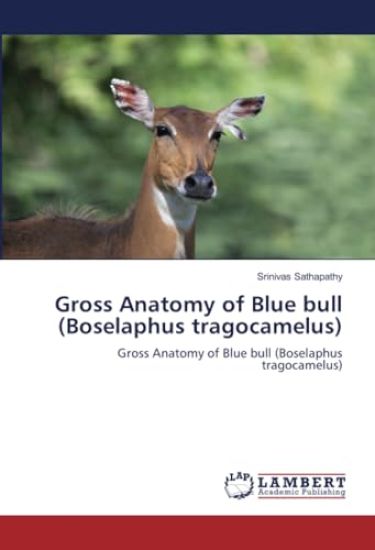 Gross Anatomy of Blue bull (Boselaphus tragocamelus)