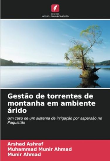 Gestão de torrentes de montanha em ambiente árido
