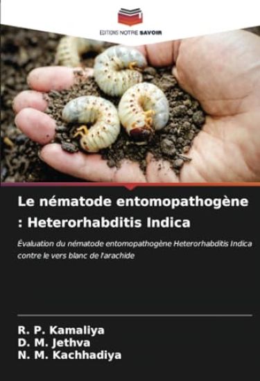 Le nématode entomopathogène : Heterorhabditis Indica