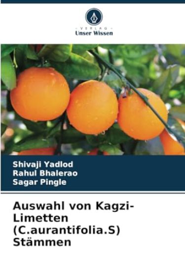 Auswahl von Kagzi-Limetten (C.aurantifolia.S) Stämmen