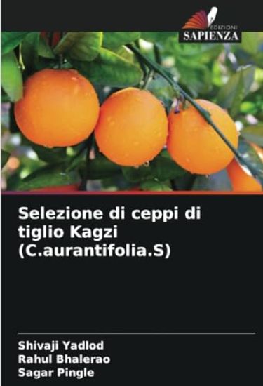 Selezione di ceppi di tiglio Kagzi (C.aurantifolia.S)