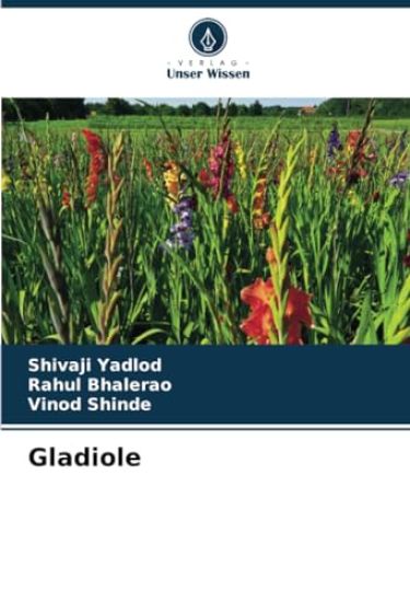 Gladiole