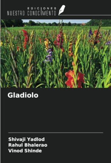 Gladiolo