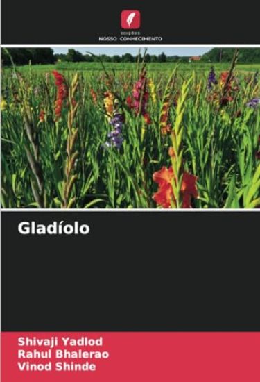 Gladíolo