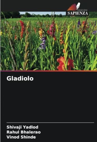 Gladiolo