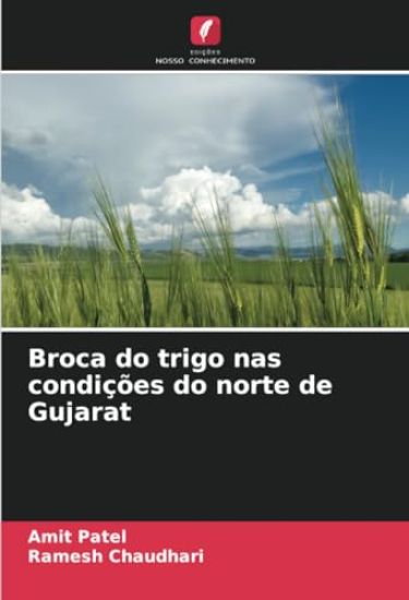 Broca do trigo nas condições do norte de Gujarat