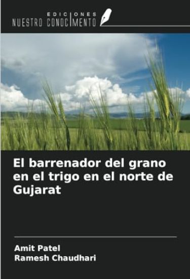El barrenador del grano en el trigo en el norte de Gujarat