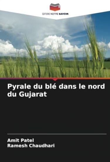 Pyrale du blé dans le nord du Gujarat