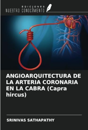 ANGIOARQUITECTURA DE LA ARTERIA CORONARIA EN LA CABRA (Capra hircus)