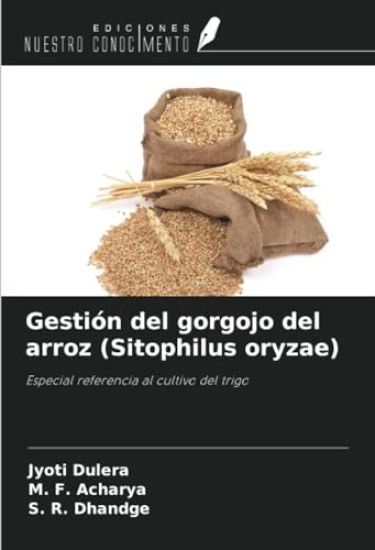 Gestión del gorgojo del arroz (Sitophilus oryzae)