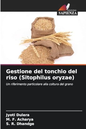 Gestione del tonchio del riso (Sitophilus oryzae)