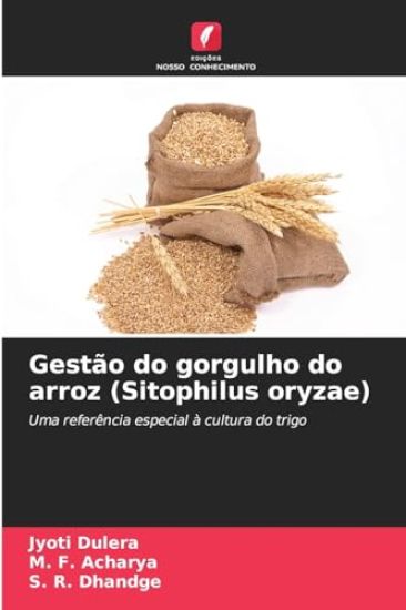 Gestão do gorgulho do arroz (Sitophilus oryzae)