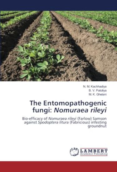 The Entomopathogenic fungi