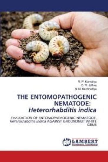 The Entomopathogenic Nematode