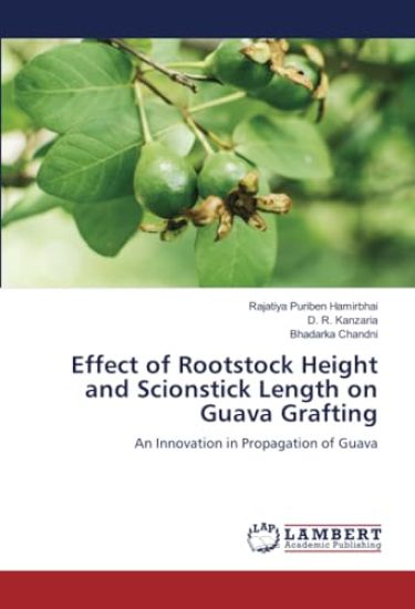 Effect of Rootstock Height and Scionstick Length on Guava Grafting