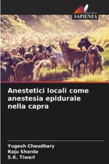 Anestetici locali come anestesia epidurale nella capra